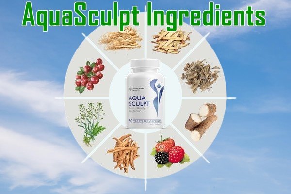 AquaSculpt Ingredients